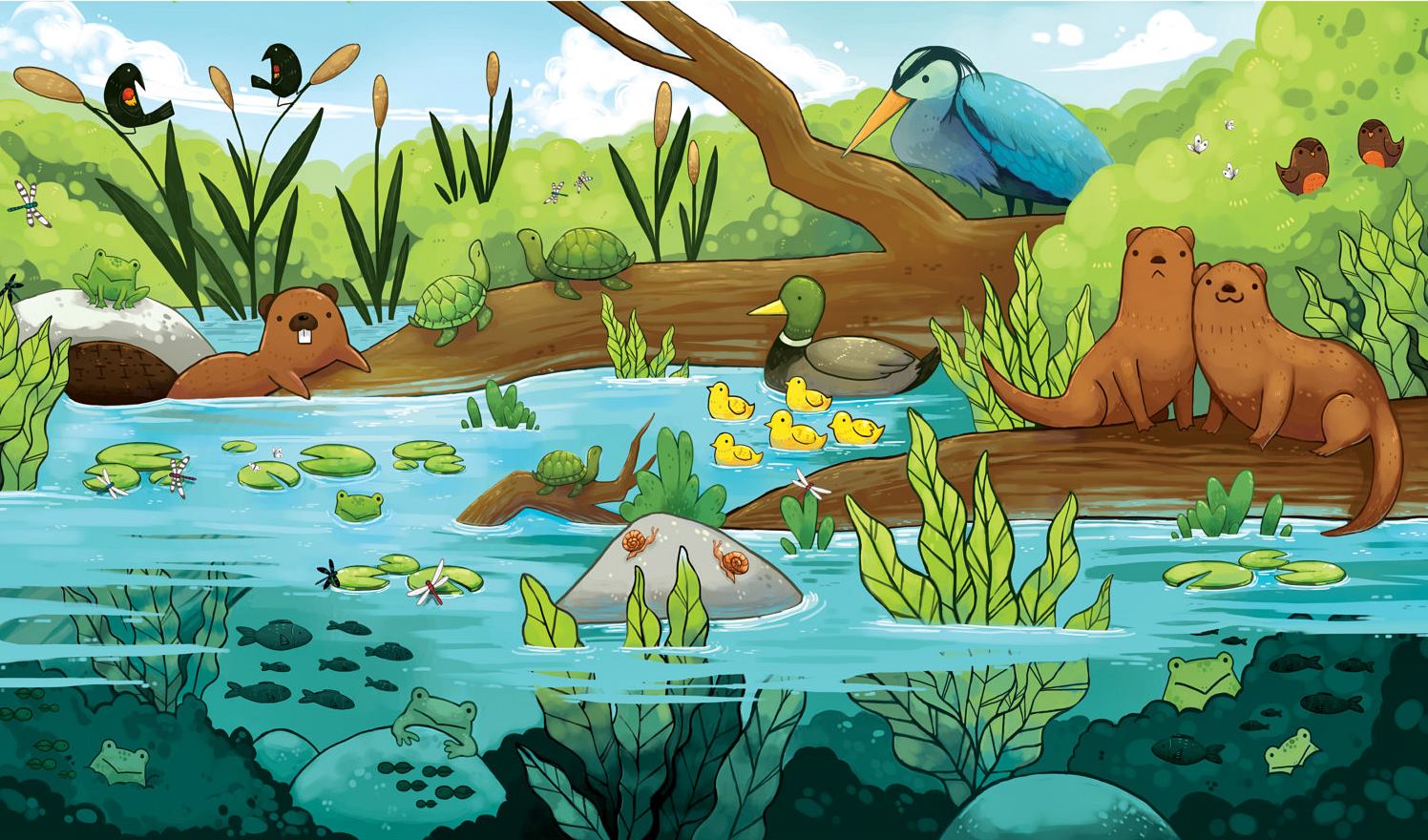 Рисунок сообщество биология 5 класс. Экосистема. Обитатели водоемов для дошкольников. Обитатели пруда для дошкольников. Обитатели водоемов рисунки.